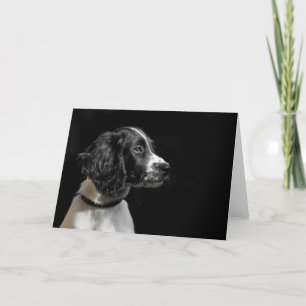 Carte Anglais Springer Spaniel