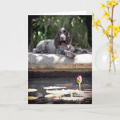 Carte anglaise Cocker Spaniel (Fleur jaune)