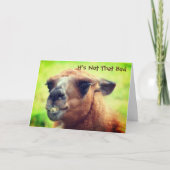 Carte Angry Llama Humoristique 50e anniversaire (Devant)