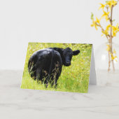 Carte Angus Steer dans l'herbe jaune haute (Fleur jaune)
