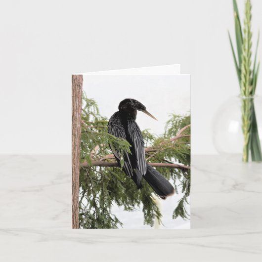 Carte Anhinga photo pliée Note (Devant)