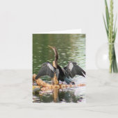Carte Anhinga photo pliée Note (Devant)