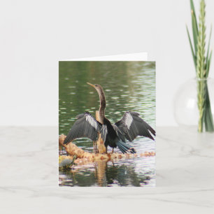 Carte Anhinga photo pliée Note