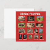 Carte Animal d'Australie (Devant / Derrière)