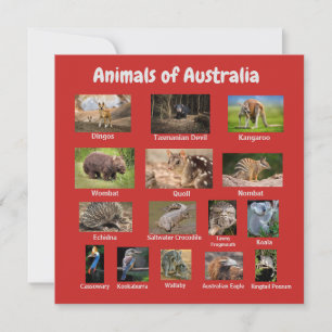 Carte Animal d'Australie
