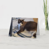 Carte animal de chat Feline (Devant)