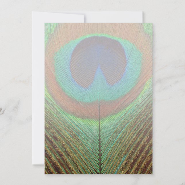 Carte Animal - Oiseau - Plumes de paon (Devant)