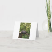 Carte animale mignonne pour quelqu'un que vous (Devant)