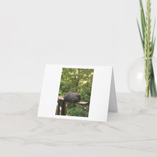 Carte animale mignonne pour quelqu'un que vous (Devant)