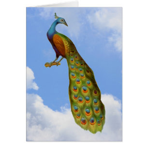 Carte animalière Peacock Blue Sky Nuages