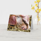CARTE ANIMAUX AGRICOLES, PIGS (Fleur jaune)