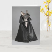 Carte Animaux Bébés les Plus Mignons | Chat sans Poils S (Fleur jaune)