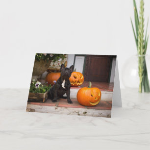 Carte Animaux bébés les plus mignons Halloween Bouledo
