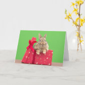 Carte Animaux Bébés les Plus Mignons | Lapin de Noël (Fleur jaune)
