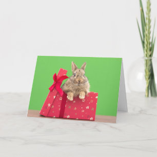 Carte Animaux Bébés les Plus Mignons Lapin de Noël