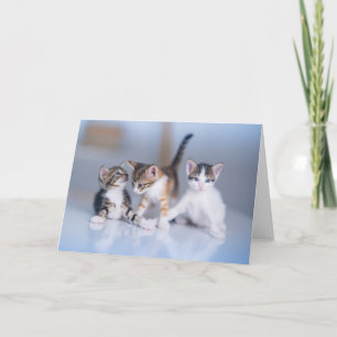 Carte Animaux de bébés cutest 3 Tabby Kittens