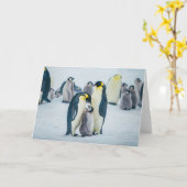 Carte Animaux de bébés cutest | Alimentation de pingouin (Fleur jaune)