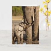Carte Animaux de bébés cutest | Baby Elephant & Mama (Fleur jaune)