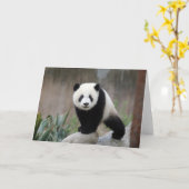 Carte Animaux de bébés cutest | Baby Panda géant (Fleur jaune)