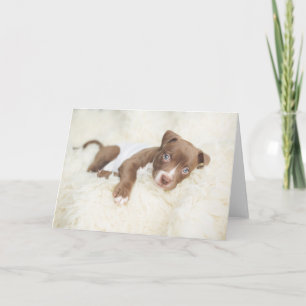 Carte Animaux de bébés cutest Baby Pit Bull Puppy