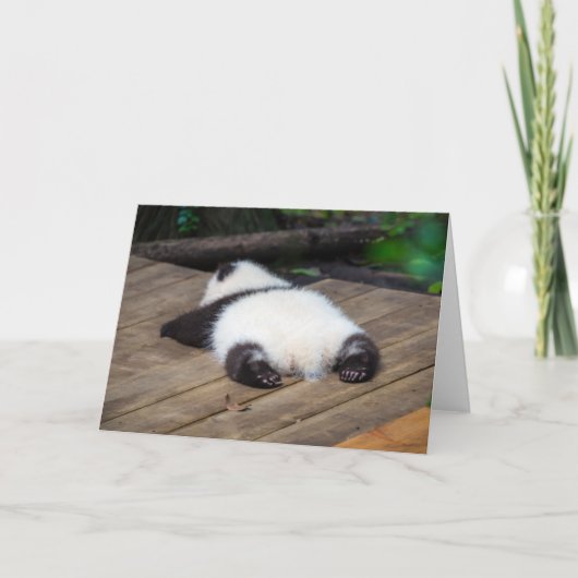 Carte Animaux de bébés cutest | Bébé Géant Panda Dormir (Devant)
