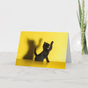 Carte Animaux de bébés cutest   Black Cat Jouer