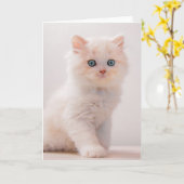 Carte Animaux de bébés cutest | Blue Eye Kitten (Fleur jaune)