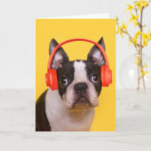 Carte Animaux de bébés cutest | Casques Terrier de Bosto (Fleur jaune)