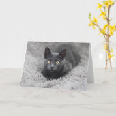 Carte Animaux de bébés cutest | Chat gris (Fleur jaune)