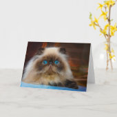 Carte Animaux de bébés cutest | Chat himalayen (Fleur jaune)