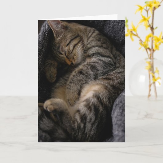 Carte Animaux de bébés cutest | Chat Tabby Dormant (Fleur jaune)
