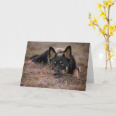 Carte Animaux de bébés cutest | Chiot berger allemand (Fleur jaune)