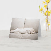 Carte Animaux de bébés cutest | Chiot du Labrador jaune (Fleur jaune)