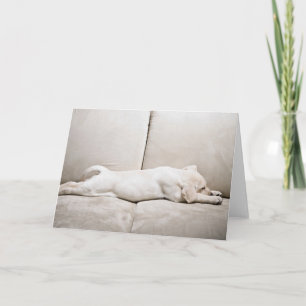 Carte Animaux de bébés cutest   Chiot du Labrador jaune 