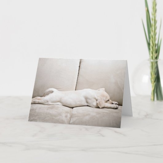 Carte Animaux de bébés cutest | Chiot du Labrador jaune (Devant)
