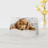 Carte Animaux de bébés cutest | Cocker Spaniel (Fleur jaune)