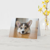 Carte Animaux de bébés cutest | Corgi Puppy (Fleur jaune)