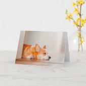 Carte Animaux de bébés cutest | Corgi Sleeping (Fleur jaune)