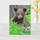 Carte Animaux de bébés cutest | Cube d'ours Brown (Fleur jaune)