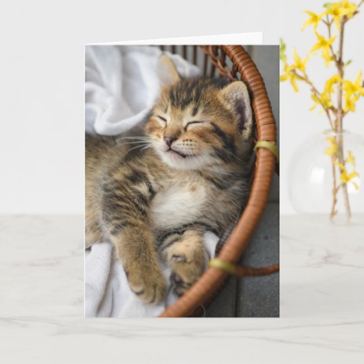Carte Animaux de bébés cutest | Cute Tabby Chat Dormir (Fleur jaune)