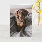 Carte Animaux de bébés cutest | Dachshund Dachshund Dach (Fleur jaune)