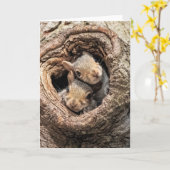 Carte Animaux de bébés cutest | Deux jeunes écureuils (Fleur jaune)