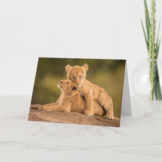Carte Animaux de bébés cutest | Deux Lions Cubs (Devant)