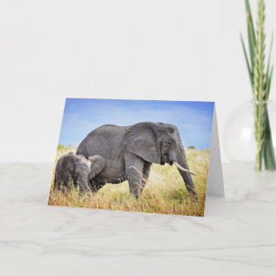 Carte Animaux de bébés cutest   Eléphant africain et mèr