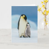 Carte Animaux de bébés cutest | Empereur Penguin Chick (Fleur jaune)