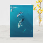 Carte Animaux de bébés cutest | Famille de dauphins (Fleur jaune)