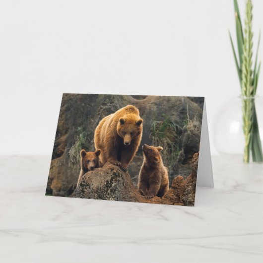 Carte Animaux de bébés cutest | Famille d'ours Brown (Devant)