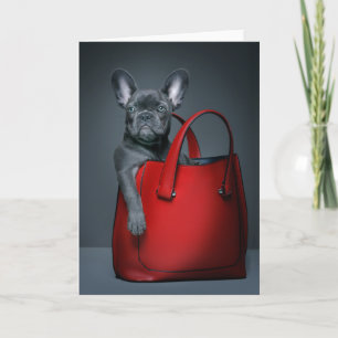 Carte Animaux de bébés cutest French Bulldog dans le s