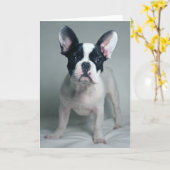 Carte Animaux de bébés cutest | French Bulldog Puppy (Fleur jaune)