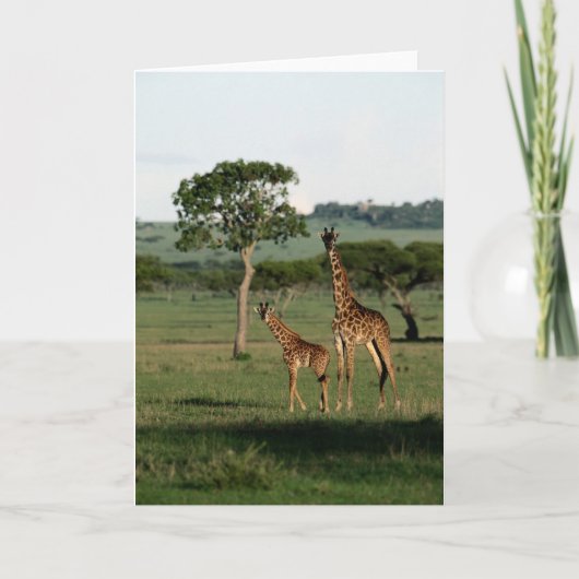 Carte Animaux de bébés cutest | Giraffe Calf & Mama (Devant)
